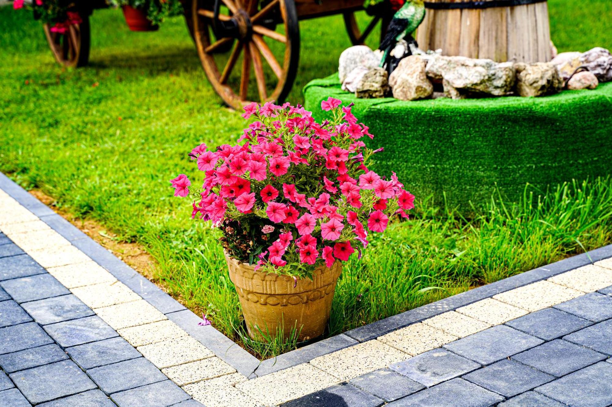 Gosciniec Kukulka Z Jacuzzi Bed & Breakfast Zakopane Eksteriør bilde